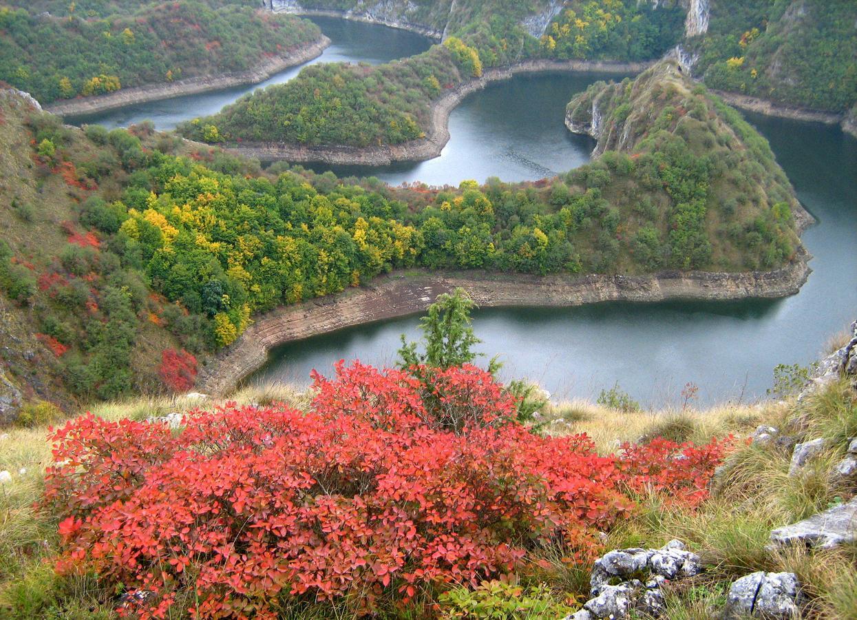 Zlatarska Kruna Nova Varoš 외부 사진